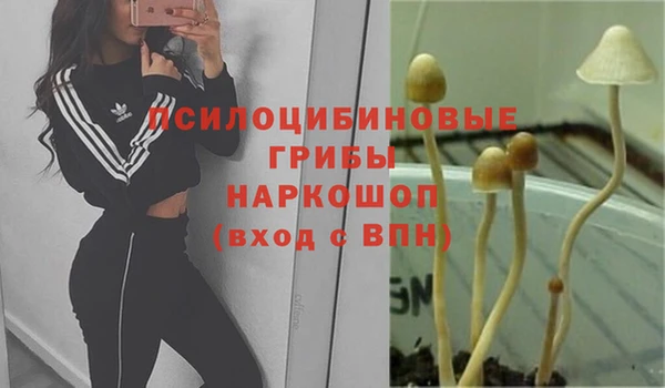 mdpv Алексеевка