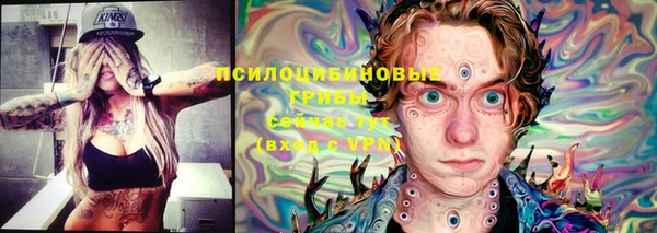 дурь Козельск