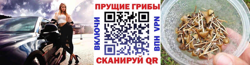 Галлюциногенные грибы ЛСД  Белоярский 